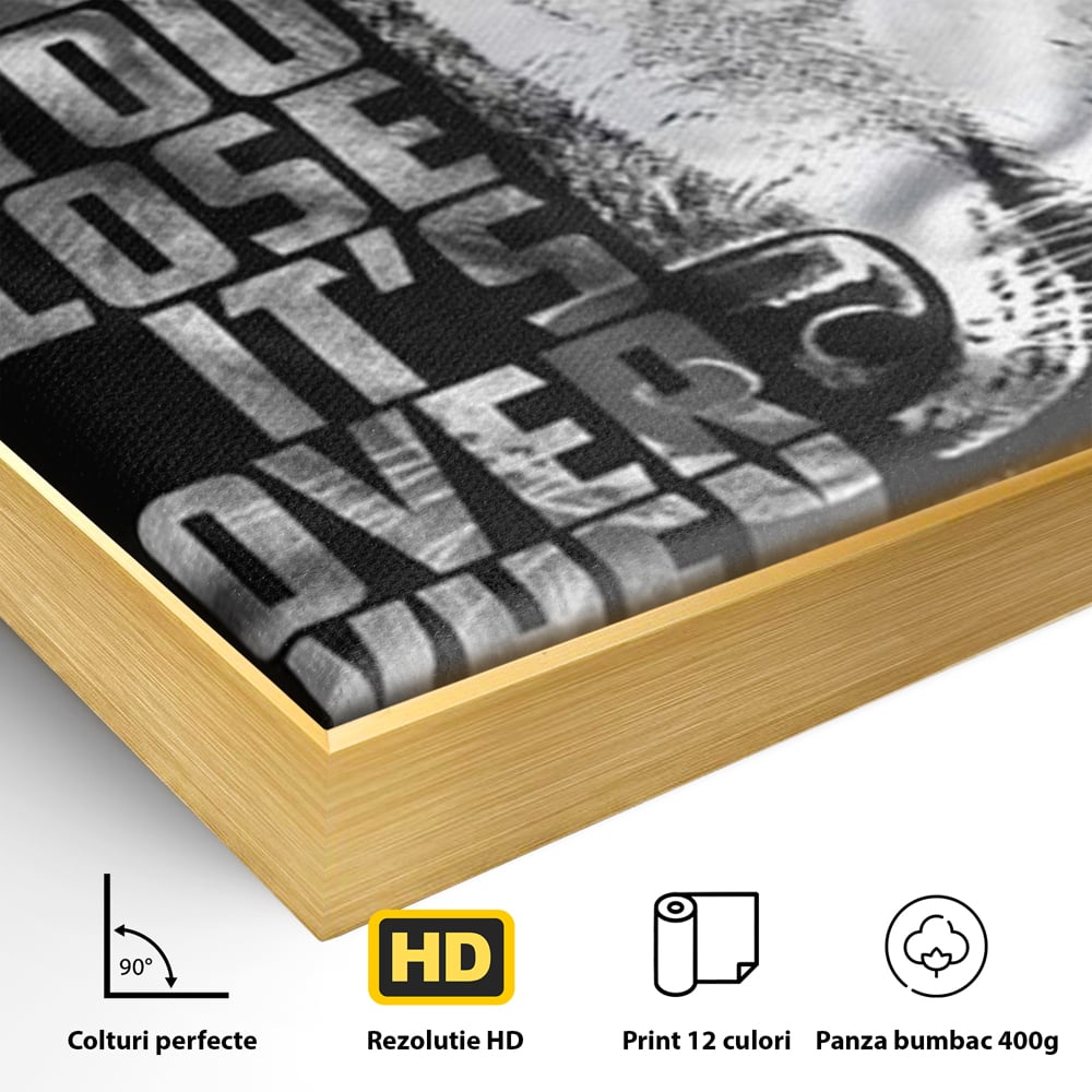 Detaliu al suprafetei: tablou canvas cu lup si mesaj, in rama de aluminiu auriu